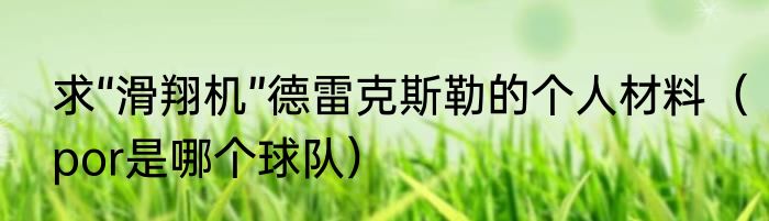 求“滑翔机”德雷克斯勒的个人材料（por是哪个球队）