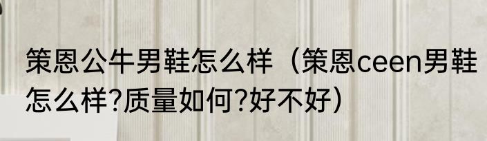 策恩公牛男鞋怎么样（策恩ceen男鞋怎么样?质量如何?好不好）