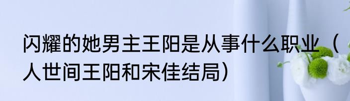 闪耀的她男主王阳是从事什么职业（人世间王阳和宋佳结局）