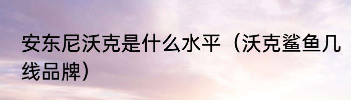 安东尼沃克是什么水平（沃克鲨鱼几线品牌）