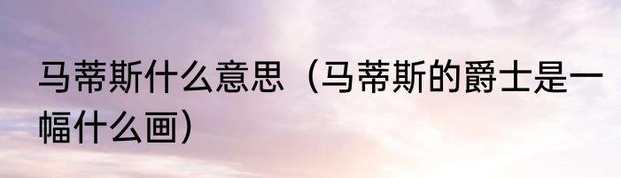 马蒂斯什么意思（马蒂斯的爵士是一幅什么画）