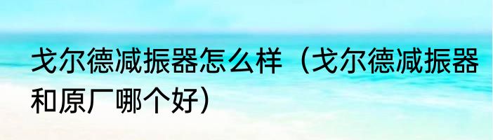 戈尔德减振器怎么样（戈尔德减振器和原厂哪个好）