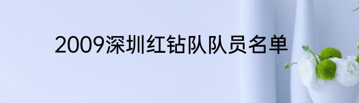 2009深圳红钻队队员名单