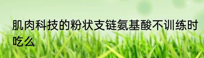 肌肉科技的粉状支链氨基酸不训练时吃么