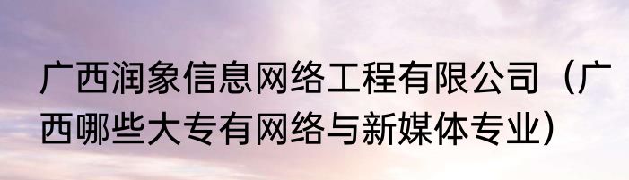 广西润象信息网络工程有限公司（广西哪些大专有网络与新媒体专业）