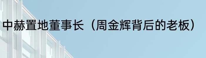 中赫置地董事长（周金辉背后的老板）