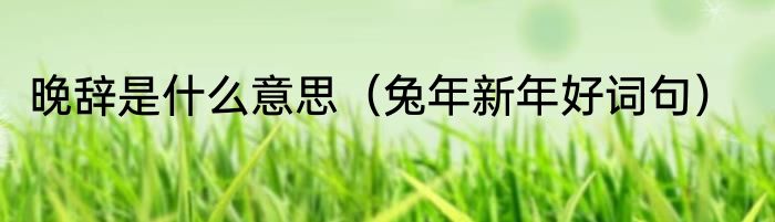 晚辞是什么意思（兔年新年好词句）