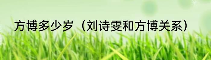 方博多少岁（刘诗雯和方博关系）