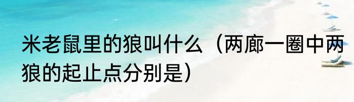 米老鼠里的狼叫什么（两廊一圈中两狼的起止点分别是）