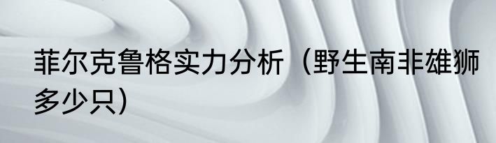 菲尔克鲁格实力分析（野生南非雄狮多少只）