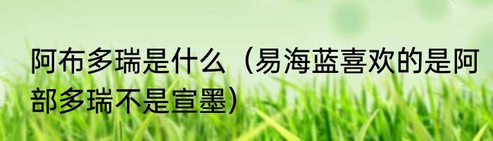 阿布多瑞是什么（易海蓝喜欢的是阿部多瑞不是宣墨）