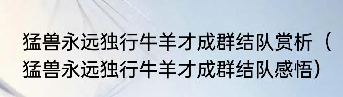 猛兽永远独行牛羊才成群结队赏析（猛兽永远独行牛羊才成群结队感悟）