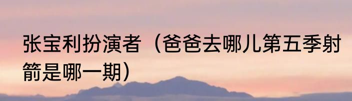 张宝利扮演者（爸爸去哪儿第五季射箭是哪一期）