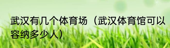 武汉有几个体育场（武汉体育馆可以容纳多少人）