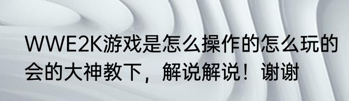 WWE2K游戏是怎么操作的怎么玩的会的大神教下，解说解说！谢谢