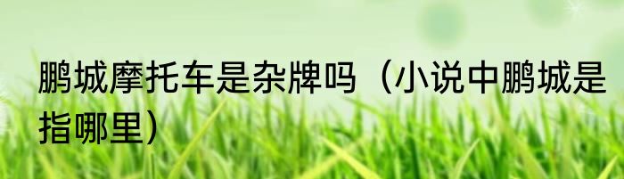 鹏城摩托车是杂牌吗（小说中鹏城是指哪里）