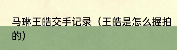 马琳王皓交手记录（王皓是怎么握拍的）