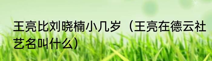 王亮比刘晓楠小几岁（王亮在德云社艺名叫什么）