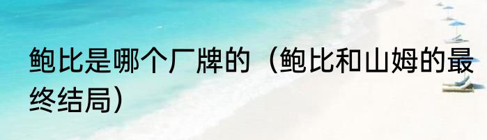 鲍比是哪个厂牌的（鲍比和山姆的最终结局）