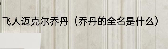 飞人迈克尔乔丹（乔丹的全名是什么）