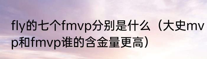 fly的七个fmvp分别是什么（大史mvp和fmvp谁的含金量更高）