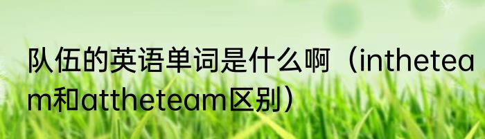 队伍的英语单词是什么啊（intheteam和attheteam区别）