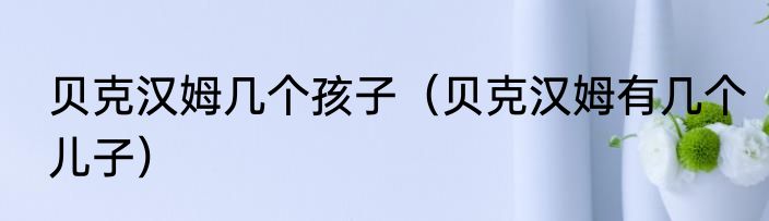 贝克汉姆几个孩子（贝克汉姆有几个儿子）