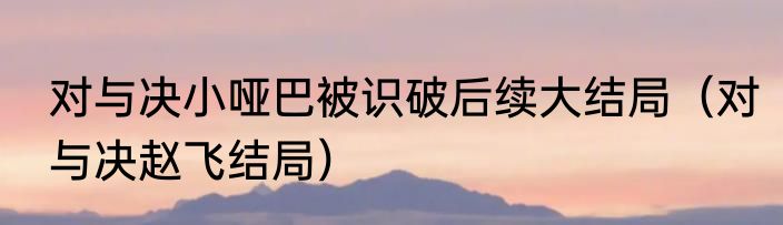 对与决小哑巴被识破后续大结局（对与决赵飞结局）