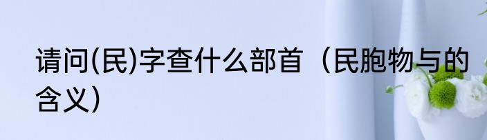 请问(民)字查什么部首（民胞物与的含义）