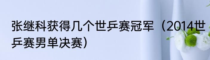 张继科获得几个世乒赛冠军（2014世乒赛男单决赛）