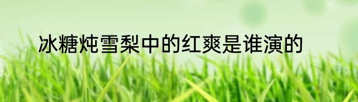 冰糖炖雪梨中的红爽是谁演的