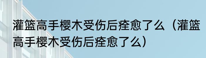 灌篮高手樱木受伤后痊愈了么（灌篮高手樱木受伤后痊愈了么）