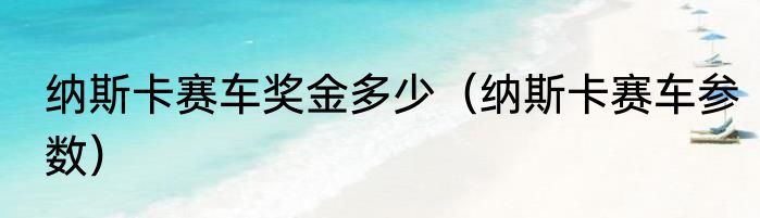 纳斯卡赛车奖金多少(纳斯卡赛车参数)