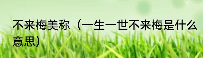 不来梅美称（一生一世不来梅是什么意思）