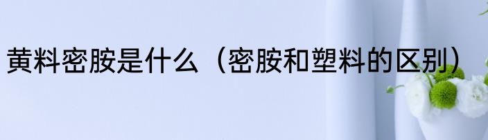 黄料密胺是什么（密胺和塑料的区别）