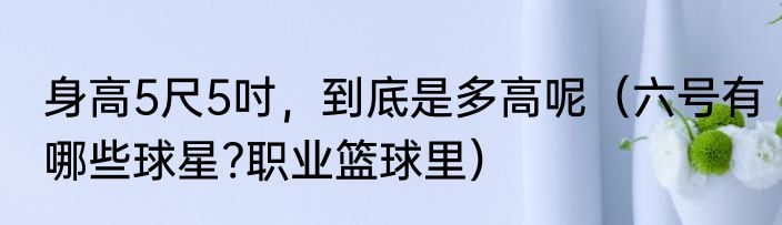 身高5尺5吋，到底是多高呢（六号有哪些球星?职业篮球里）