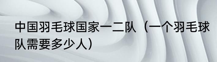 中国羽毛球国家一二队（一个羽毛球队需要多少人）