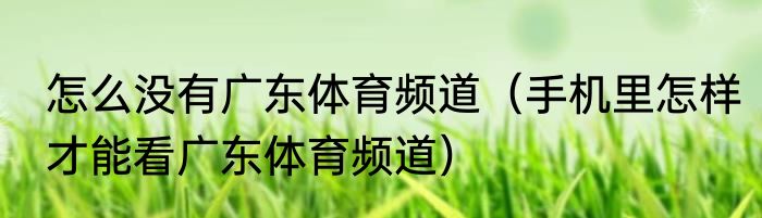 怎么没有广东体育频道（手机里怎样才能看广东体育频道）