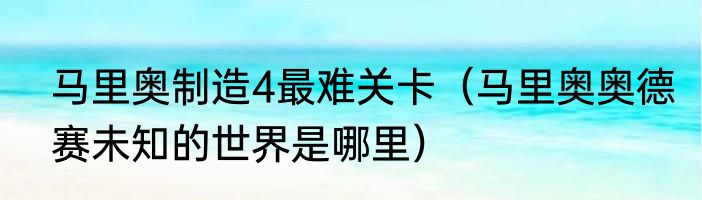 马里奥制造4最难关卡（马里奥奥德赛未知的世界是哪里）