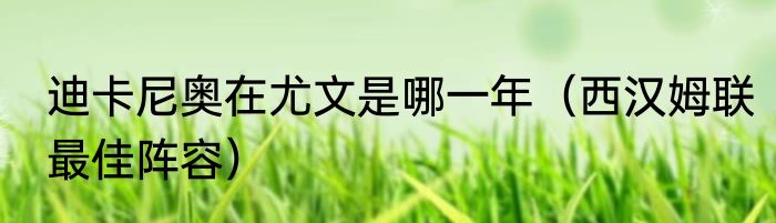 迪卡尼奥在尤文是哪一年（西汉姆联最佳阵容）