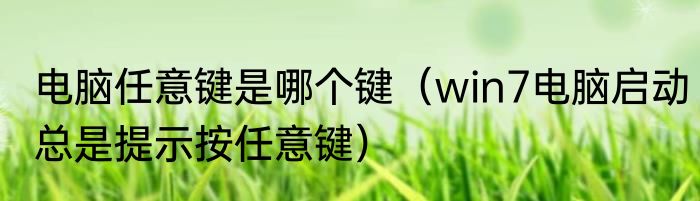 电脑任意键是哪个键（win7电脑启动总是提示按任意键）