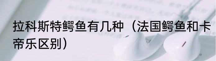 拉科斯特鳄鱼有几种（法国鳄鱼和卡帝乐区别）