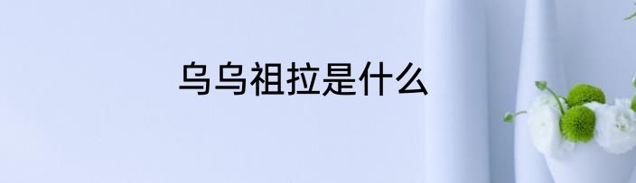 乌乌祖拉是什么