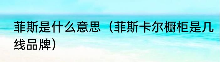 菲斯是什么意思（菲斯卡尔橱柜是几线品牌）