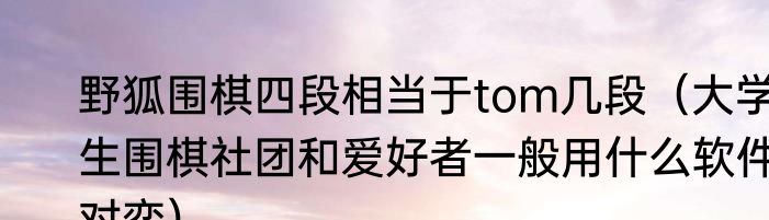野狐围棋四段相当于tom几段（大学生围棋社团和爱好者一般用什么软件对弈）