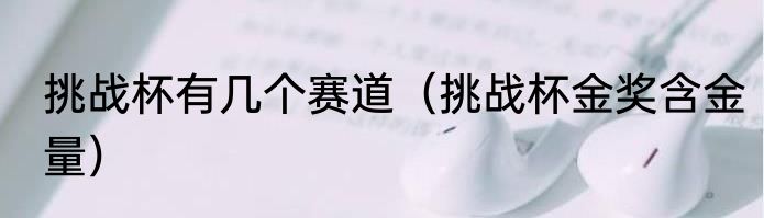 挑战杯有几个赛道（挑战杯金奖含金量）