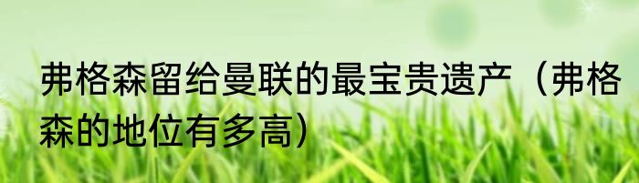 弗格森留给曼联的最宝贵遗产（弗格森的地位有多高）