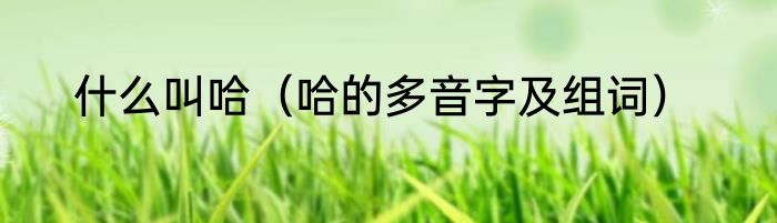 什么叫哈（哈的多音字及组词）