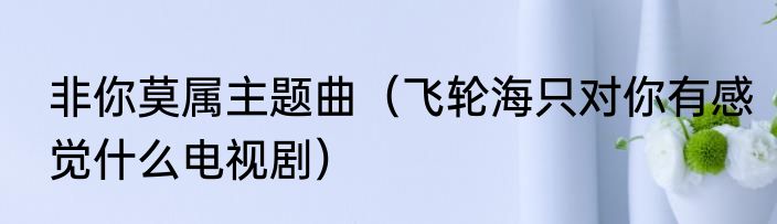 非你莫属主题曲（飞轮海只对你有感觉什么电视剧）