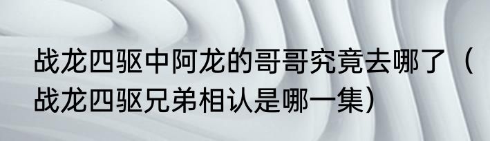 战龙四驱中阿龙的哥哥究竟去哪了（战龙四驱兄弟相认是哪一集）